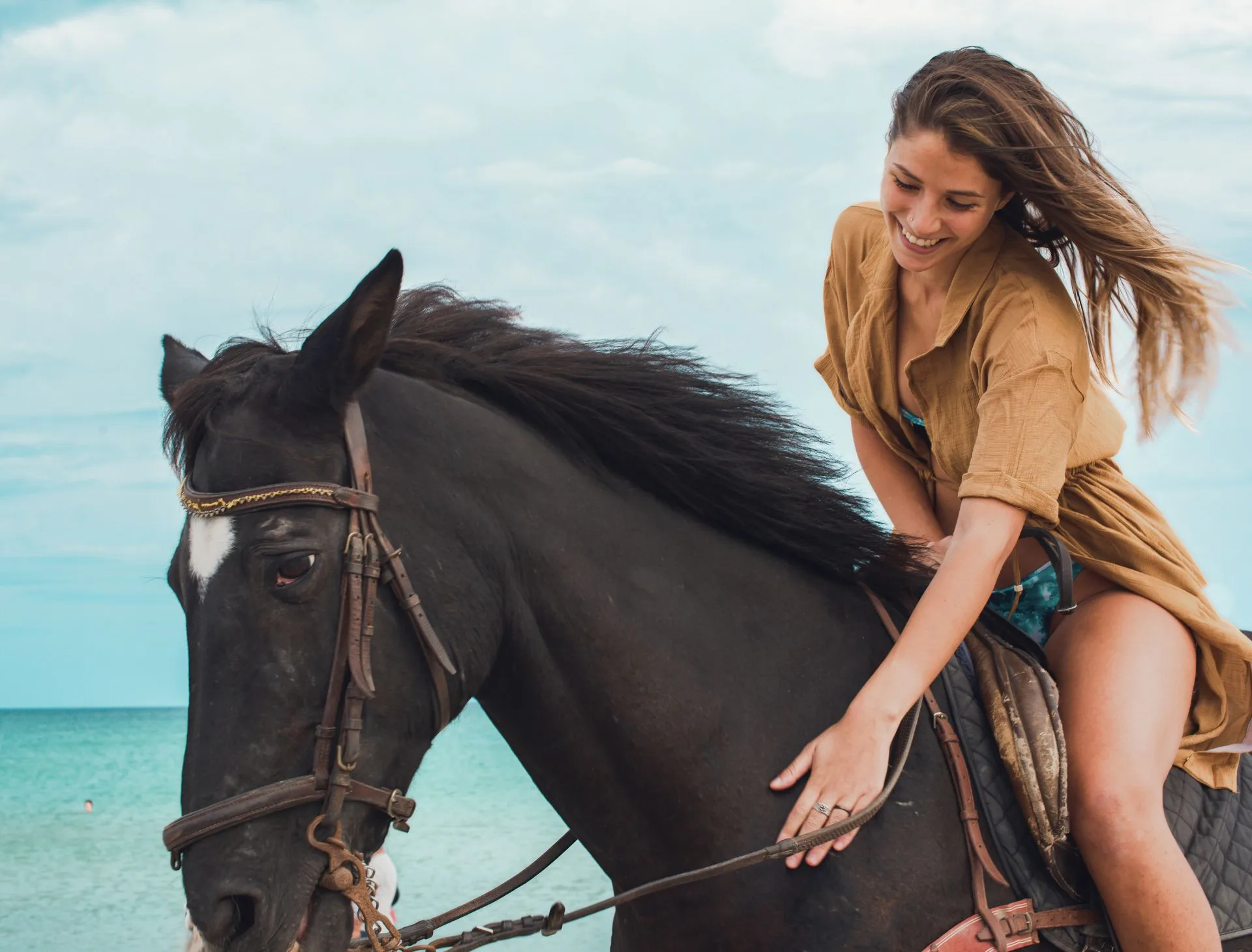 Wild Paso Fino horse