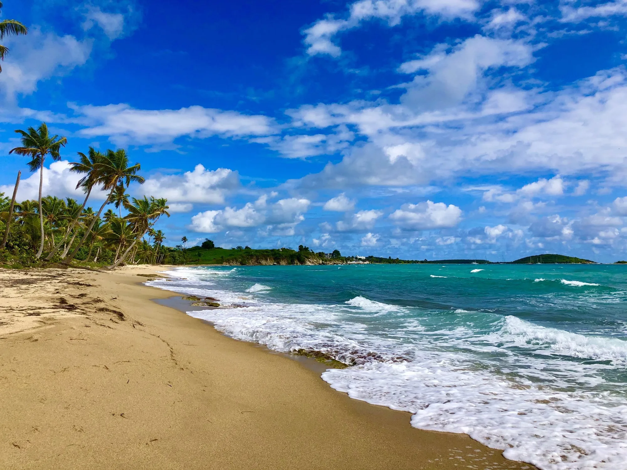 Deserted white-sand beach with clear water in Vieques, Puerto Rico